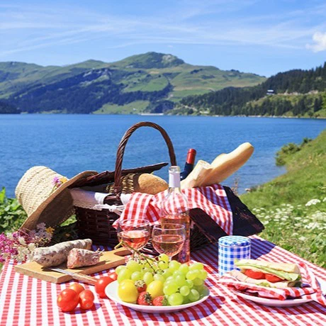 Picnic Picnic