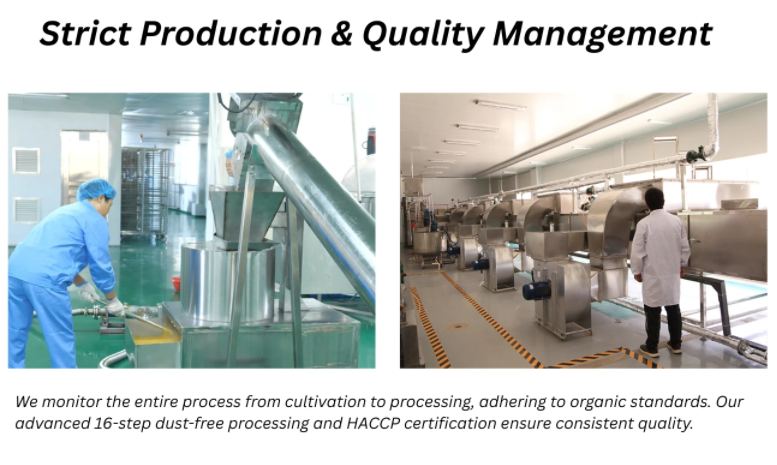 best noodles healthy best noodles healthy